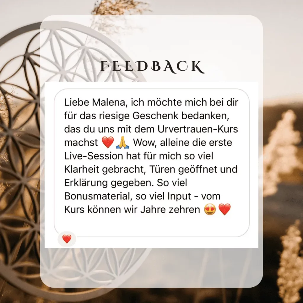Feedback